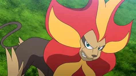 pyroar bulbapedia.